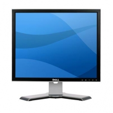 LCD 19 DELL